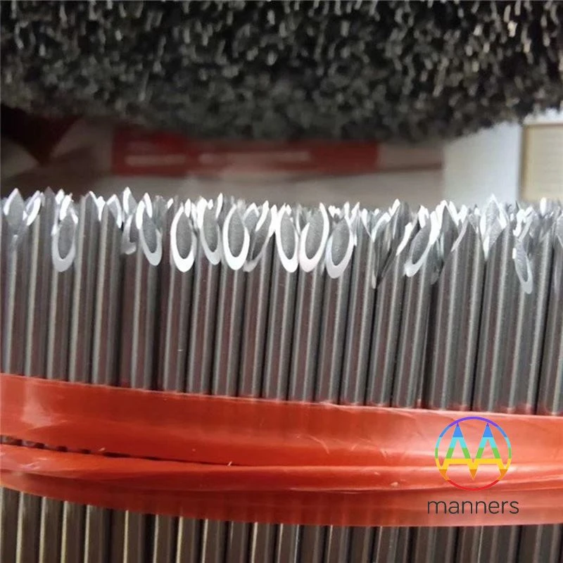 La muestra de agujas de sangrado huecas personalizadas por el cliente de Alem...
