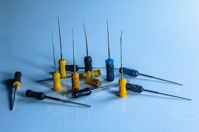 El arte de la punción: cómo una aguja OPU sin sangre lanza un ovocito bovino ...